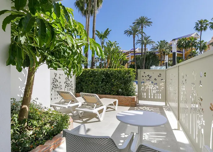 Sol - Don Pedro توريمولينوس